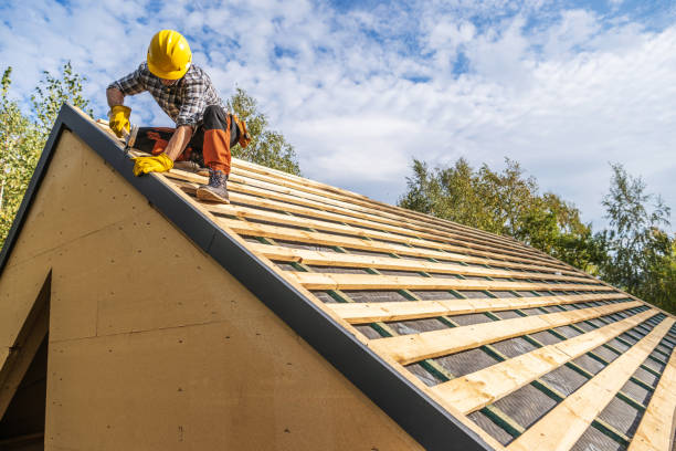 Best Roof Gutter Cleaning  in Wild Peach Village, TX