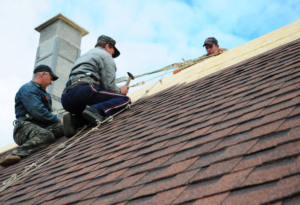 Best Shingle Roofing Installation  in Wild Peach Village, TX